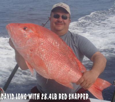 29 lb red snapper